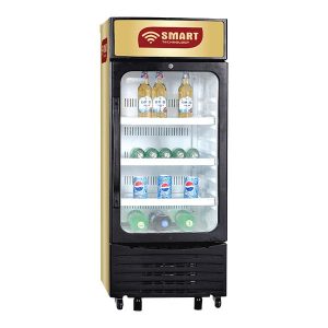 catalog_20240111142315 Congelateur Coucher REFROIDISSEUR VERTICAL VITRE SMART 170L (STCDV-490)